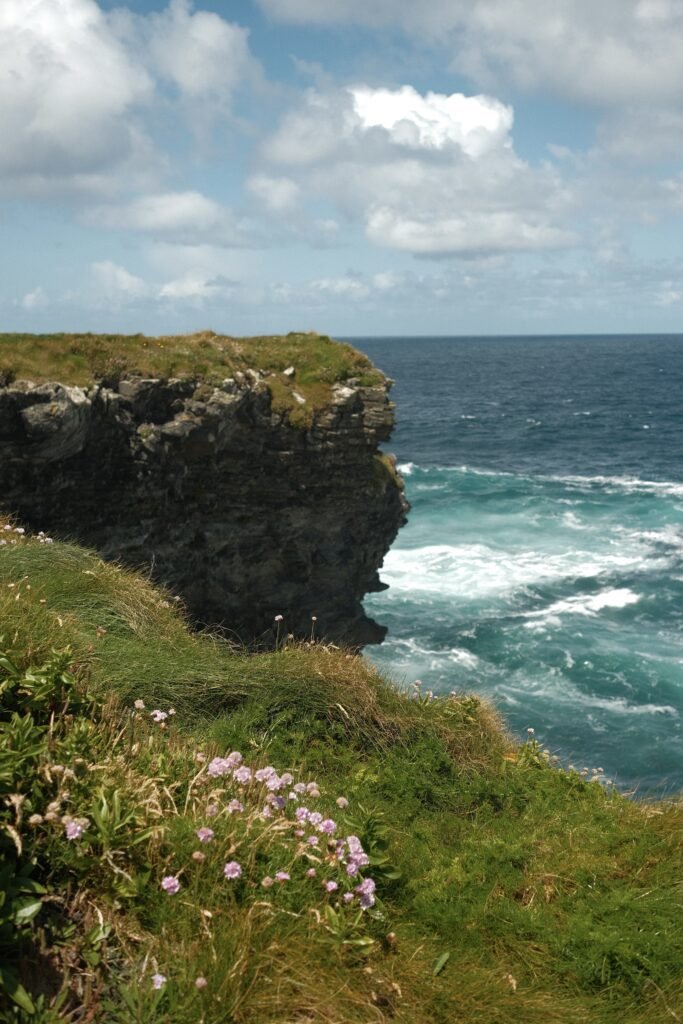 A stunning view of the Cliffs of Kilkee along Ireland's Wild Atlantic Way coast, with vibrant green grasses and wildflowers in the foreground. The rugged cliff edges drop dramatically into the swirling blue waters below, creating a powerful contrast between land and sea under a partly cloudy sky.