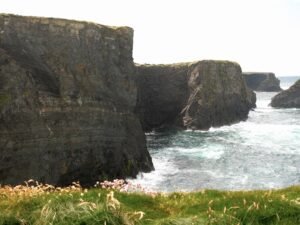 A rugged view of the Kilkee Cliffs in County Clare, Ireland, with sheer rock faces towering over the crashing waves of the Atlantic Ocean. The foreground features windswept grasses and delicate wildflowers, highlighting the natural beauty of this coastal landscape.