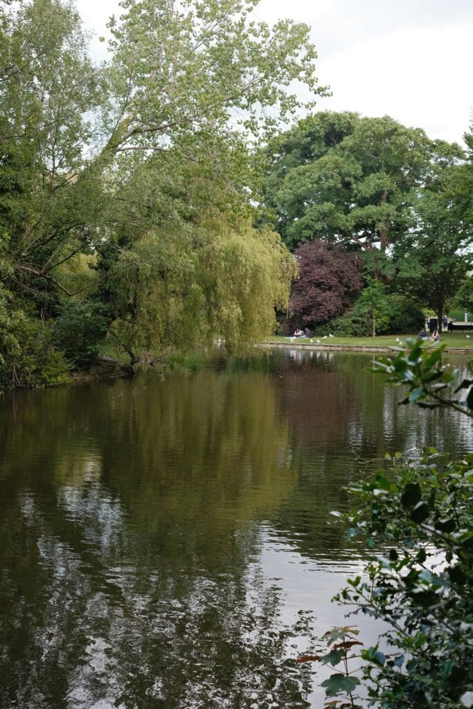 A photo of the peaceful pond in St Stephens Green, a beautiful spot to add to your Dublin travel itinerary and a must-see for first time visitors.