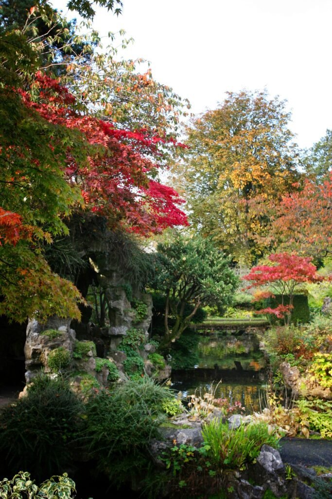 dublin to galway drive stops irish national stud garden